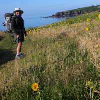 Sun Flowers above Sandy Haven | John Millen