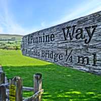 A sign of the times | John Millen