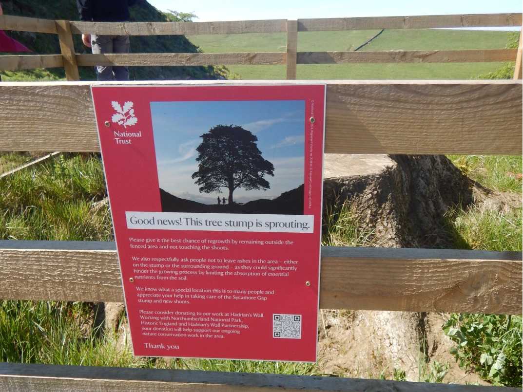 Hadrian's Wall |  Peter Wells