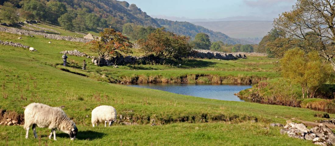 Quintessentially English walking along the Dales Way |  <i>John Millen</i>