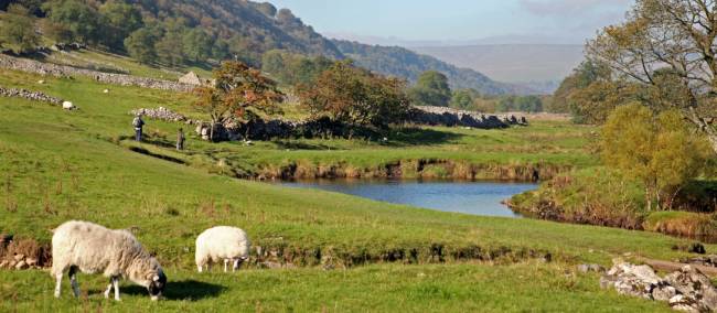 Quintessentially English walking along the Dales Way | <i>John Millen</i>