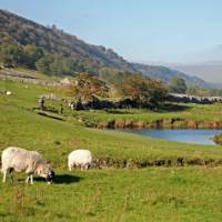 Quintessentially English walking along the Dales Way | John Millen