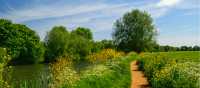 Riverside Trails on the Thames Path | Shutterstock