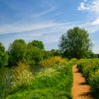 Riverside Trails on the Thames Path | Shutterstock