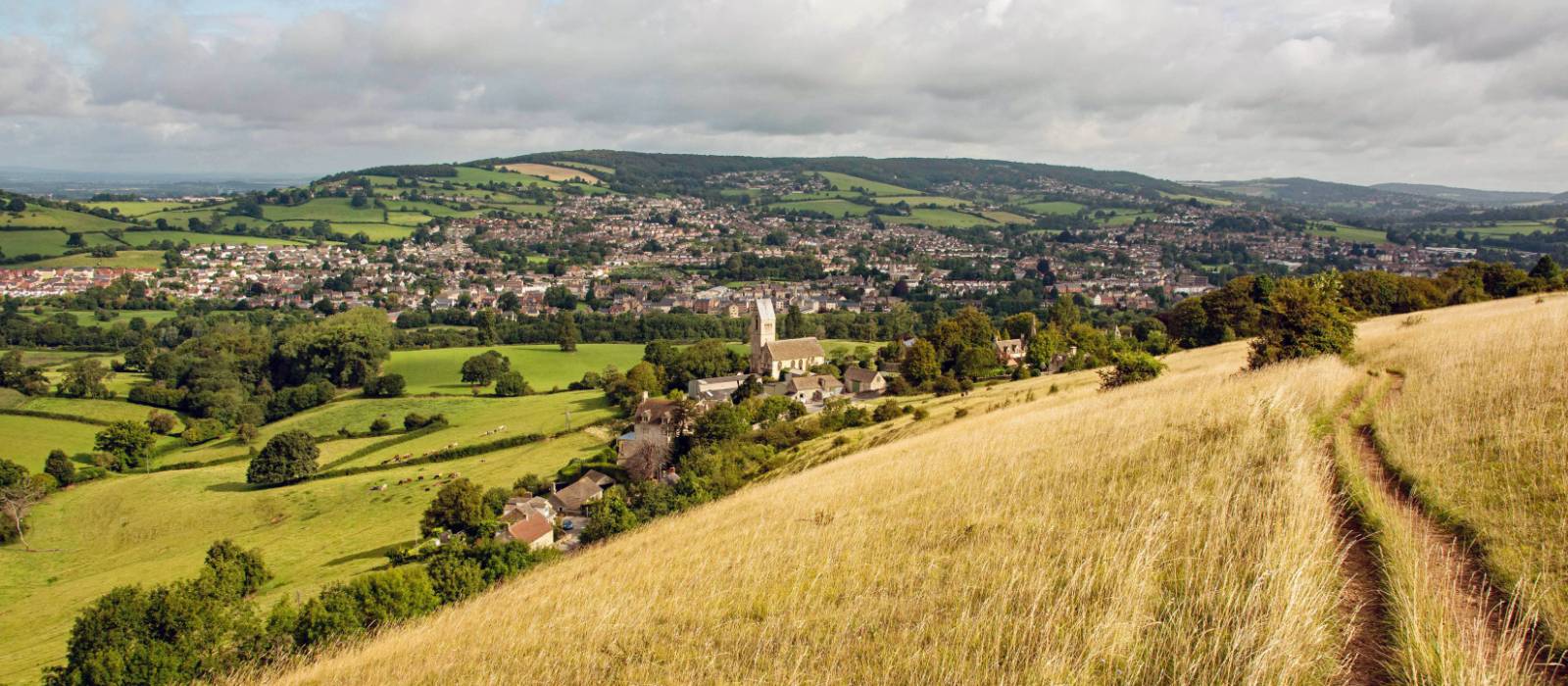 On the trail around Selsley Common, Cotswolds Way | Tom McShane