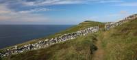 Coastal path, gate and drystone wall | John Millen