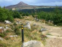 Trail  and waymarking on Wicklow way |  <i>John Millen</i>