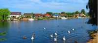 The Thames near Sunbury | John Millen