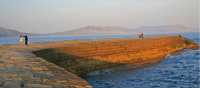 The Cobb, Lyme Regis - Jon Millen | Jon Millen
