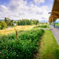 The Macallan Distillery and Visitor Centre | Visit Scotland
