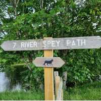 The Wildcat Trail - Speyside | Connie Evans
