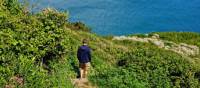 The stunning cliff paths that make up the Channel Island Way | Nathalie Thompson