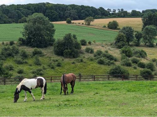 'Exploring the Cotswolds' Trip with Anna |  Anna Frank