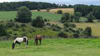Exploring the Cotswolds