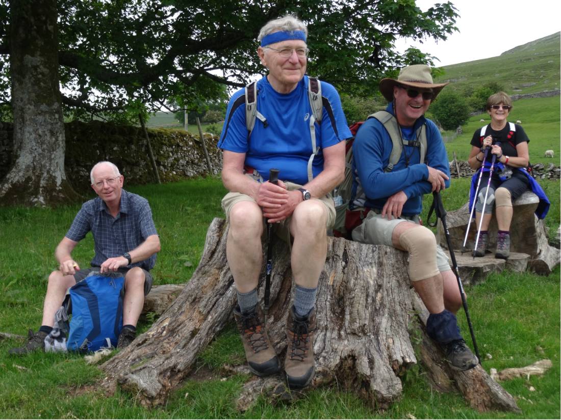 Using a tree stump as a seat |  <i>John Millen</i>