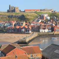 Whitby across the Esk River | John Millen