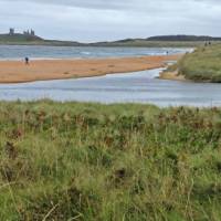 Walking up to Dunstanburgh Castle, Northumberland | Alan Hunt