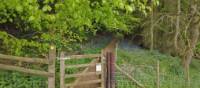 What lies behind this gate in the Cotswolds? | Mabel Cheang