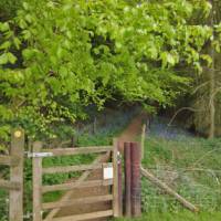What lies behind this gate in the Cotswolds? | Mabel Cheang