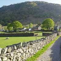Early morning on the trails in England | John Millen