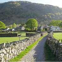 Early morning on the trails in England | John Millen