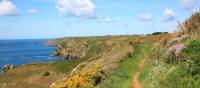 Footpath  towards the silver mines, Sark. | John Millen