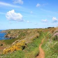 Footpath  towards the silver mines, Sark. | John Millen