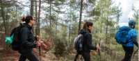 Hiking in the Troodos | Visit Cyprus