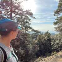 Hiking in the Troodos Mountains - The Artemis Trail | Fiona Marshall