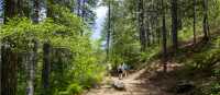 Hiking the Caledonia Nature Trail, Cyprus | Shutterstock - Olga Dunchuk
