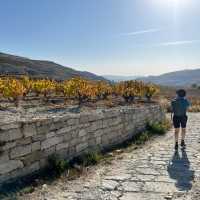 Hiking through the Omodos Vineyards | Fiona Marshall
