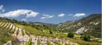 The Omodos Vineyards | Visit Cyprus