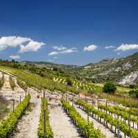 The Omodos Vineyards | Visit Cyprus