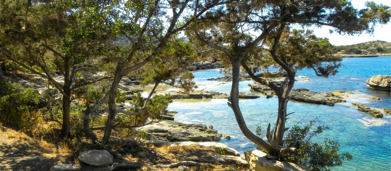 Mild weather for a Cyprus winter holiday, Akamas Peninsula | Antigoni Karakoulli