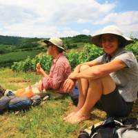 Picnic near Auxey