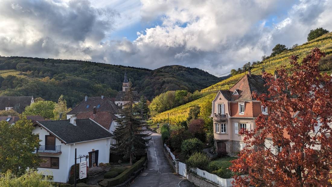 View from the hotel in Andlau |  <i>Jon Millen</i>