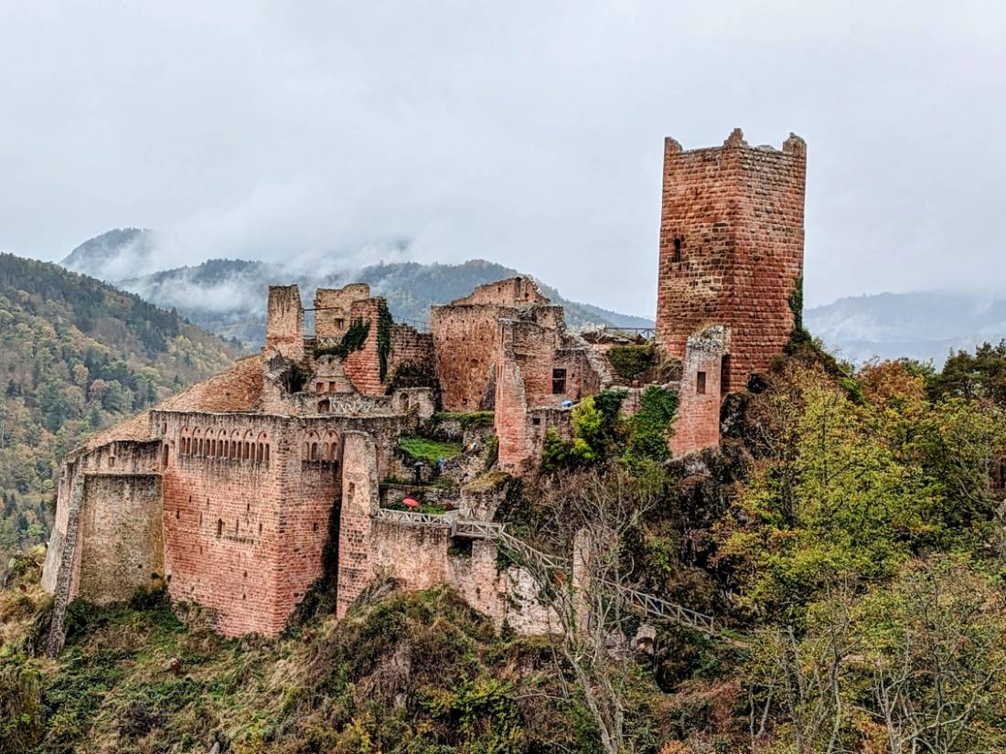 Impressive ruins of  Chateau Saint Ulrich (tower can be climbed) |  <i>Jon Millen</i>