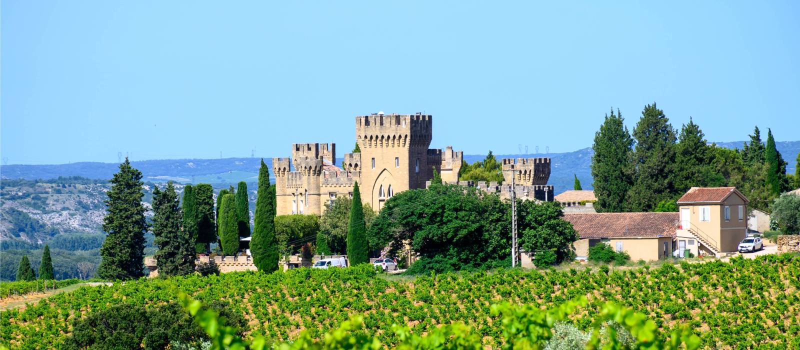 Vineyards of Chateauneuf du Pape appellation with grapes growing on soils with large rounded stones galets roules, lime stones, gravels, sand and clay, famous full body red wines, France | barmalini