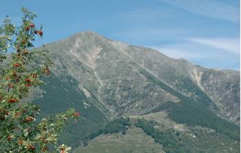 Mountains to Sea&#160;-&#160;<i>Photo:&#160;David Holmes</i>