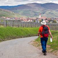 Hiking between the vineyards of Alsace | Charles Hawes