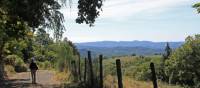 View over the Dordogne valley | Nathalie Thomson