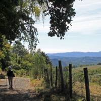 View over the Dordogne valley | Nathalie Thomson