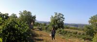 Walk through orchards of the Dordogne region in France | Nathalie Thomson