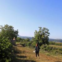 Walk through orchards of the Dordogne region in France | Nathalie Thomson
