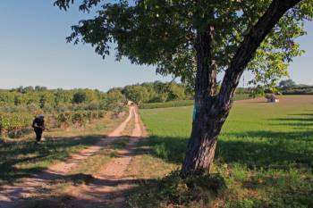 Enjoying the quiet tranquillity of the Dordogne region&#160;-&#160;<i>Photo:&#160;Nathalie Thomson</i>