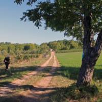 Enjoying the quiet tranquillity of the Dordogne region | Nathalie Thomson