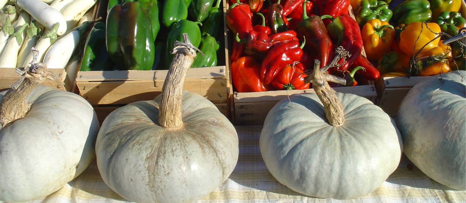Local produce at a market in Provence