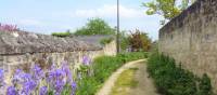 Colourful path in Montsoreau, Loire Valley | Suavemarimagno