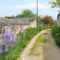 Colourful path in Montsoreau, Loire Valley | Suavemarimagno