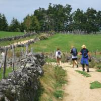 Walking towards Nasbinals